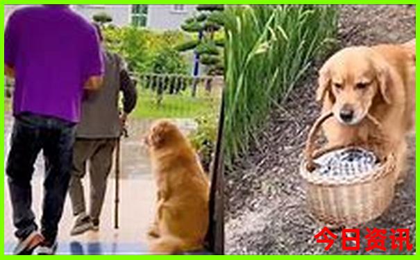 毕节有什么好玩的地方旅游景点